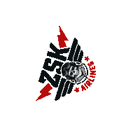 Punk Skatepunk Sticker by ZSK