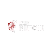 Tennis Interclub Sticker by Tennisenpadelvlaanderen