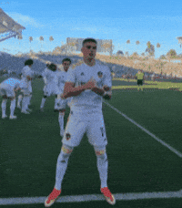 La Galaxy Mls GIF by Major League Soccer
