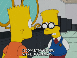 Season 20 Episode 3 GIF by The Simpsons