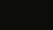 Weekend Bier GIF by Robin Piek