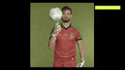 Serie A Bora GIF by Canal Premiere