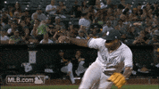 luis GIF by MLB