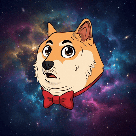 To The Moon Wow GIF by Doge Pound