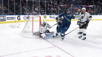 Celebration Hockey GIF by Colorado Eagles