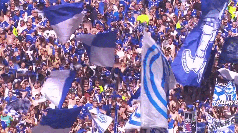 Football Fans GIF by FC Schalke 04