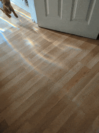 KantoLegend_ dog run puppy fast GIF