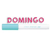 Pilot Domingo Sticker by Dactic Chile