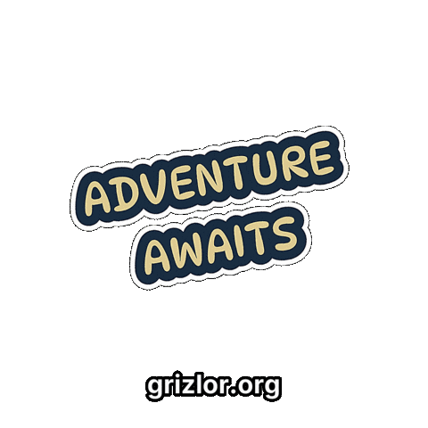 Fun Bear Sticker by grizlor