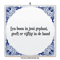 Humor Nl GIF by Tegelspreuken.nl