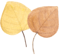 Leaves Leaf Sticker by amy zhang