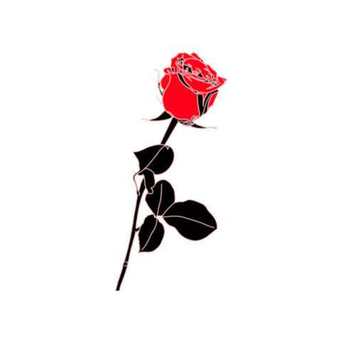 0netwentysix  Sticker