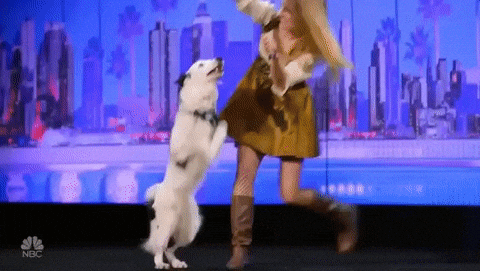 nbc GIF by America's Got Talent