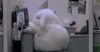 rabbits GIF
