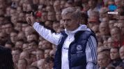 Top Yes GIF by MolaTV