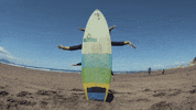 Travel Travelling GIF by https://www.sharryup.com/