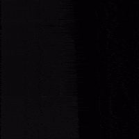 SyndicateMGMT wolf edm wolves wolf pack GIF