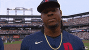 Detroit Tigers Sport GIF by MLB