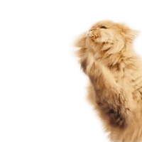 mmb monetakocour GIF by MonetaMoneyBank