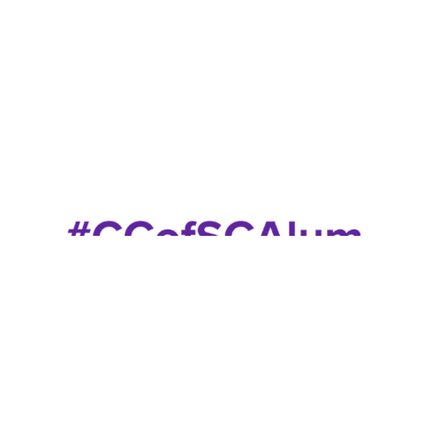 South Carolina Columbia Sticker