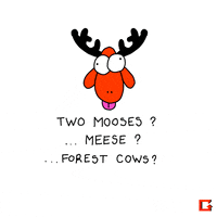 flock of moosen GIF by gifnews