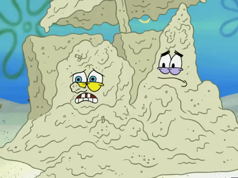 season 6 GIF by SpongeBob SquarePants