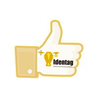 Caravanaselectrónicas Sticker by IDENTAG