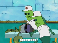 season 3 GIF by SpongeBob SquarePants