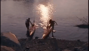 new hampshire GIF