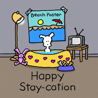 Quarantine Stay Home GIF by Chippy the Dog