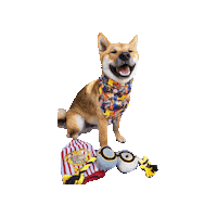 Harry Potter Sticker by Geekster Pets