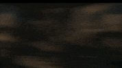 Lifestyle GIF by Homixide Gang
