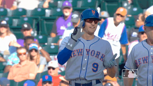 Ny Mets Sport GIF by New York Mets