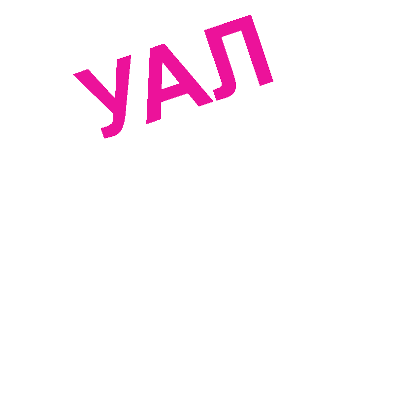 Ualandaction Sticker by Ukrainian Leadership Academy