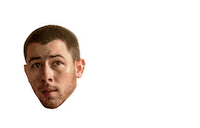 Nick Jonas Slay Sticker by Disney Channel