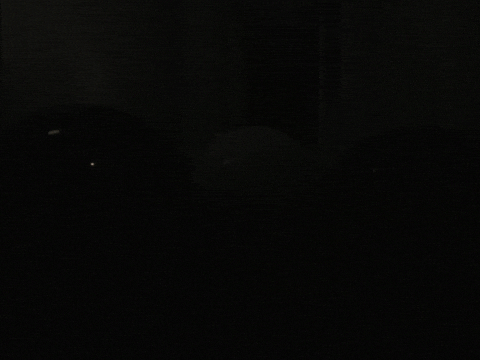 Opium GIF by Destroy Lonely