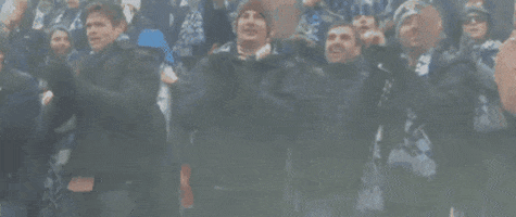 fans cheering GIF by Philadelphia Union