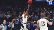 college basketball sport GIF by Duke Men's Basketball