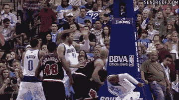 chicago bulls basketball GIF by Cheezburger