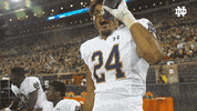 College Football GIF by Notre Dame Fighting Irish