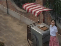 kung fu hustle GIF