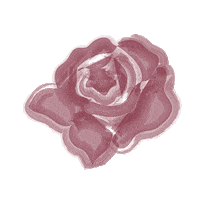 Pink Flower Sticker by Orosa Beauty