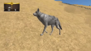 wolf GIF