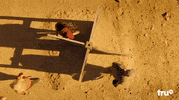 revolving adam ruins everything GIF by truTV