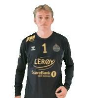 Bergen Rema1000Ligaen Sticker by Norsk Topphåndball