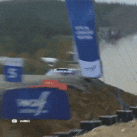 Jumping Car Ufo GIF by FIA World Rally Championship