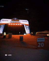 Speeding Rally Sweden GIF by FIA World Rally Championship
