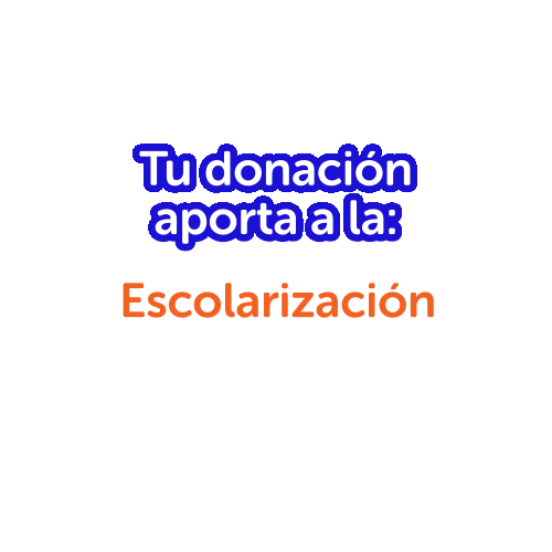 fundacionluzcl giphyupload fundacionluz colectadigital2023 discapacidadvisual Sticker