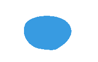 Video Flying Sticker