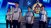 Team Esports GIF by BLAST